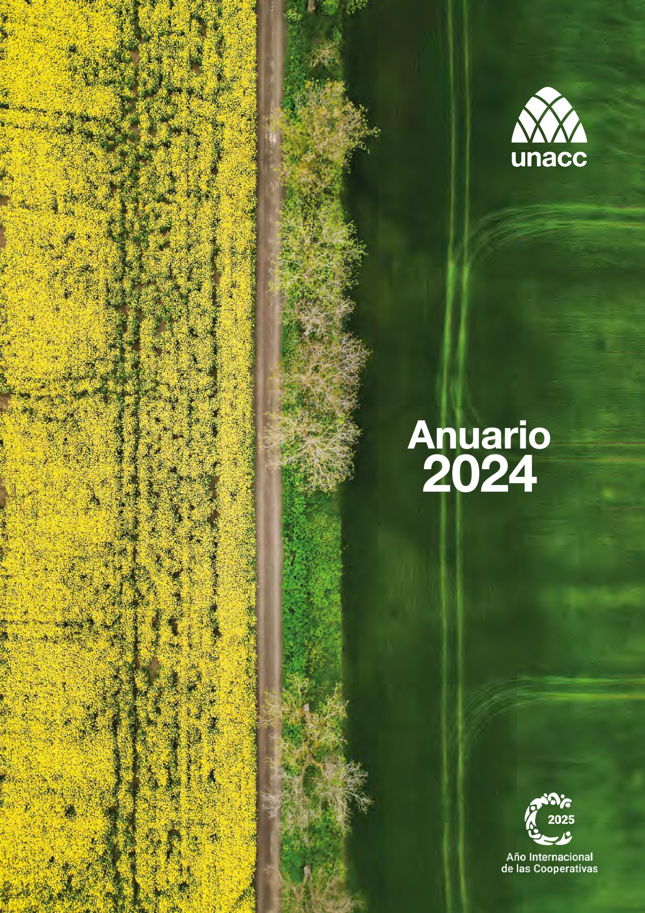anuario unacc 2024 interactivo
